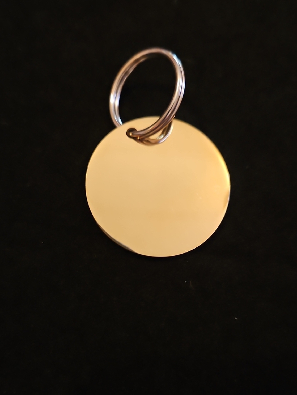 12 Plunder Gold Tone Round Tag Keyring